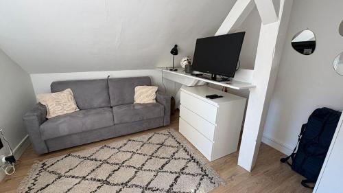 Elle comprend un petit salon doté d'un canapé et d'une télévision. dans l'établissement Studio Arena Metz - 2P - 26 m2, à Metz