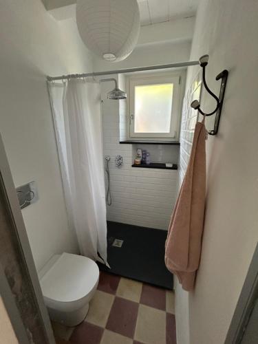 a small bathroom with a toilet and a window at Casa Collina by PortofinoVacanze in San Lorenzo della Costa