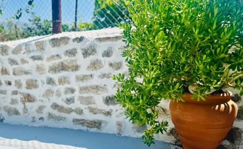 Φωτογραφία από το άλμπουμ του Simadhes Garden Rooms στη Χειμάρρα