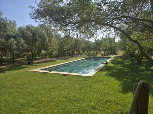 - une piscine au milieu d'une pelouse dans l'établissement Domaine de l'Aumone, à Agde