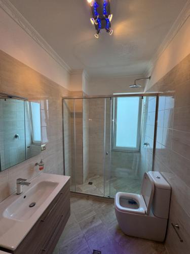 シェンジンにあるHoliday Apartmens Neliのトイレ、洗面台、シャワー付きのバスルーム