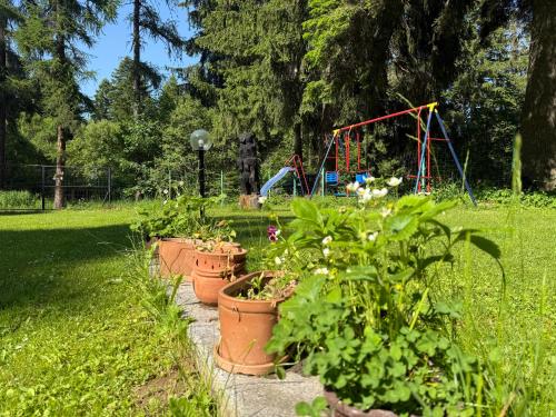 Giardino di Persey Villa Borovets