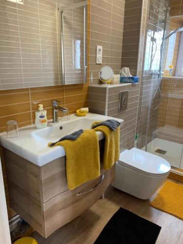 une salle de bain avec un lavabo, des toilettes et un miroir dans l'établissement Vue mer en plein cœur de Morgat, à Crozon