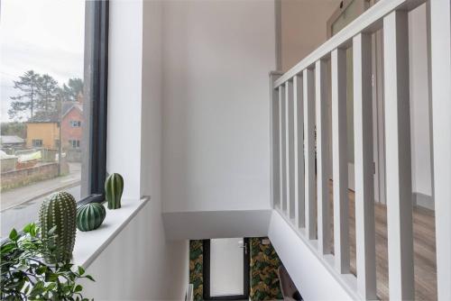 a staircase in a house with a cactus at Zest Homes 87b Bridge Street in Leominster