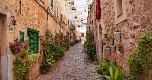 an alley with potted plants in an old building at Alt Son Lliure beautiful village house in Valldemossa in Valldemossa