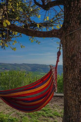 a hammock hanging from a tree at B&B La Buonora in Sinio