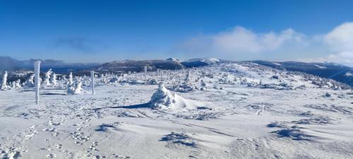 a snow covered hill with trees and a mountain at Vila Hamrska in Velké Hamry