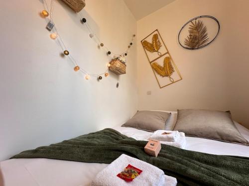 une chambre avec un lit avec une couverture verte dans l'établissement Bali 8 studio cosy proche centre ville, à Reims
