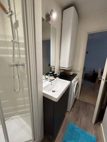 une salle de bain avec un lavabo et une machine à laver dans l'établissement Cosy studio Vaugirard, à Paris