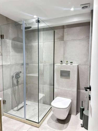 a bathroom with a shower and a toilet at Ellie Apartments Stalida in Stalida