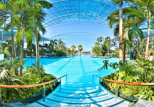 Una piscina tipo resort con palmeras y techo de cristal. en City-Apartment, en Sinsheim