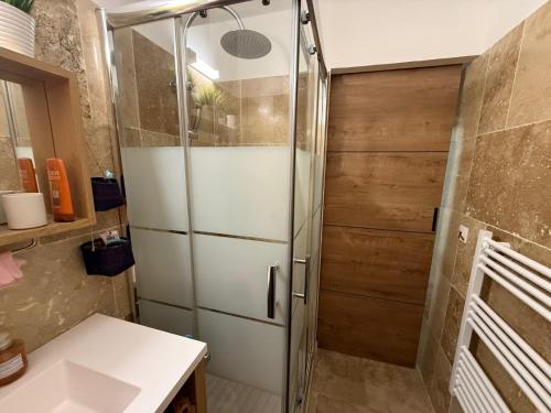 La salle de bains est pourvue d'une douche et d'un réfrigérateur. dans l'établissement Cabanon Lourmarin, à Lourmarin