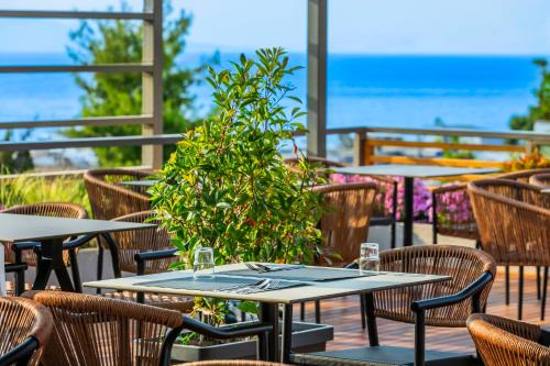 Φωτογραφία από το άλμπουμ του Hotel Vozina στη Μεταμόρφωση