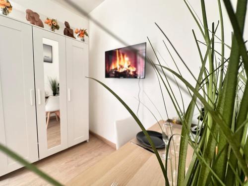 Chavalliaud 11 studio cosy en RDC proche centre