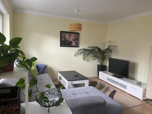 ein Wohnzimmer mit Sofa und Fernseher in der Unterkunft Comfy & Cozy Apartment in Neuenhagen
