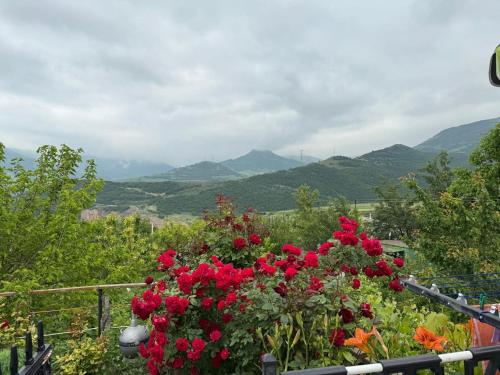 a garden with red flowers and mountains in the background at Ana-Maria Bnb in Tatʼev