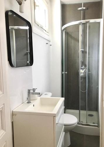 une salle de bain avec une douche, des toilettes et un lavabo dans l'établissement Grand Studio Trouville centre, à Trouville-sur-Mer