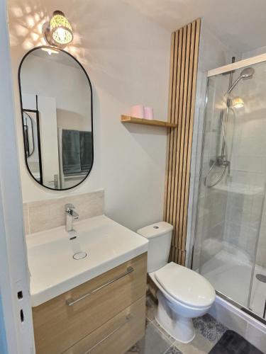 une salle de bain avec toilettes, lavabo et miroir dans l'établissement SUPERBE APPARTEMENT PROCHE NATURE & GARE IDEAL POUR PETITE FAMILLE ET PROFESSIONELLEs - PLUS CONFORTABLE QUE L'HOTEL!!!, à Pommeuse