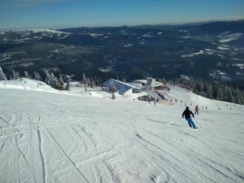 a group of people skiing down a snow covered slope at Pronájem pokoje v Bayerisch Eisenstein in Bayerisch Eisenstein