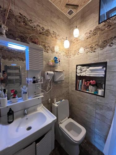a bathroom with a sink and a toilet at Mehriban Guest House in Sheki