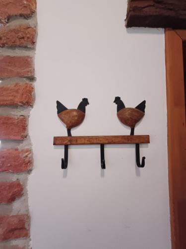 two birds sitting on a shelf on a wall at Ebner Pince - Panzió in Turbékpuszta