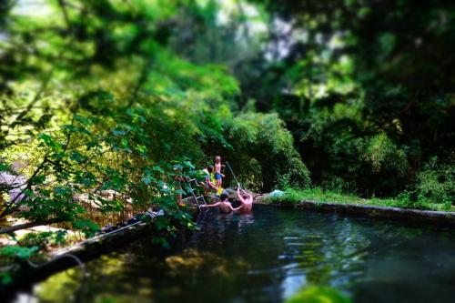 un groupe de personnes nageant dans un corps d'eau dans l'établissement Château Daulone, à Vaison-la-Romaine