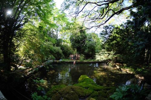 un groupe de personnes debout dans un étang dans un parc dans l'établissement Château Daulone, à Vaison-la-Romaine