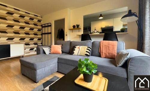 - un salon avec un canapé gris et des oreillers dans l'établissement Côté Remparts, Central, Face à la Vieille Ville & Parking Privé GRATUIT, à Boulogne-sur-Mer