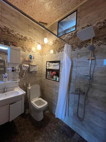 a bathroom with a shower and a toilet and a sink at Mehriban Guest House in Sheki