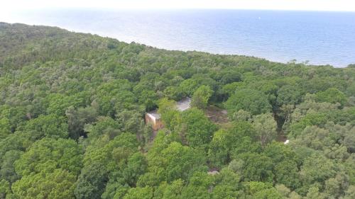 an aerial view of a forest next to the ocean at WoMo Stellplatz am Ferienpark Bernstein in Dranske