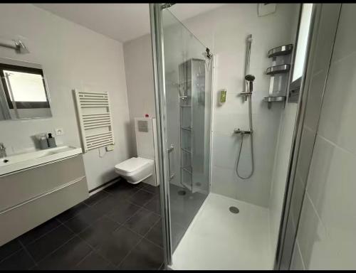 une salle de bain avec une douche, des toilettes et un lavabo dans l'établissement Le Refuge Du Sud, à Montpellier