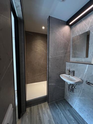 a bathroom with a sink and a shower at Wohnung Albrecht Nummer 4 in Spalt