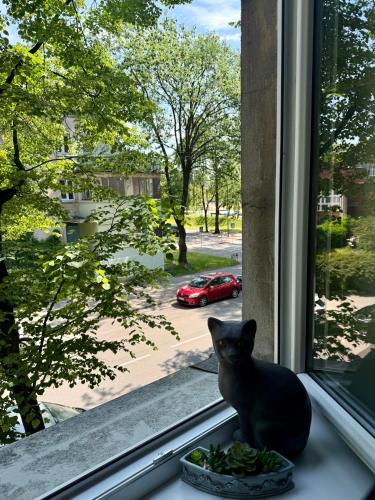 a black cat sitting on a window sill at Central Antique Gallery Apartment self-check in in Klaipėda