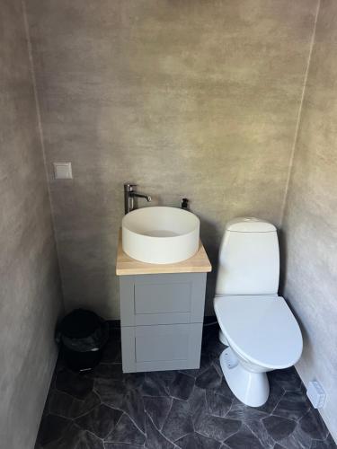 a bathroom with a white toilet and a sink at The Blue Cabin in Tyfta