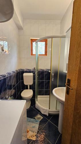 a bathroom with a shower and a toilet and a sink at B & M Apartments in Kotor