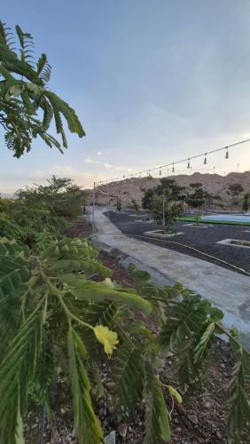 Gallery image of ddd in Hatta
