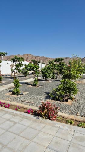 Gallery image of ddd in Hatta