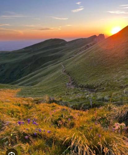 a sunset on a hill with flowers in a field at Appartement Dans un village en Auvergne sancy in Égliseneuve-dʼEntraigues
