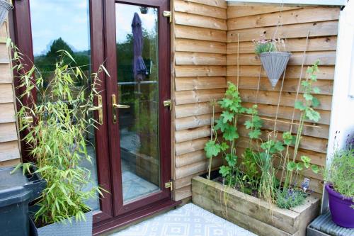 an entrance to a house with a door and plants at Severn Up in Newtown