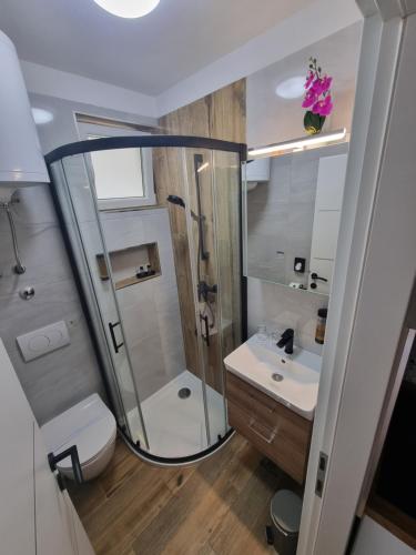 a bathroom with a shower and a toilet and a sink at Studio Apartment Petra Umag in Umag