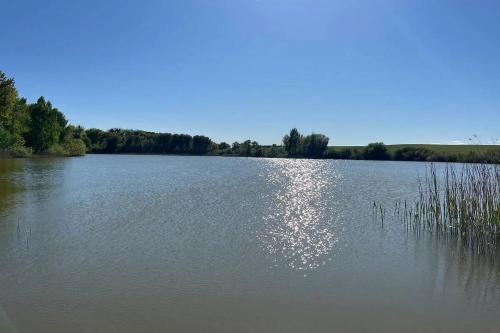 a large body of water with trees in the background at Lassan, Ferienhaus Stine - Auszeit in stilvollem Ambiente in Lassan