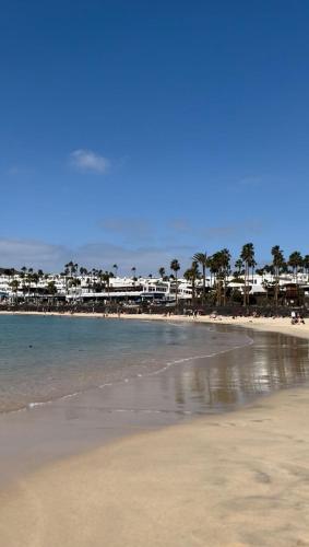 a sandy beach with palm trees and the ocean at Apartamentos y Lofts Makana in Playa Blanca