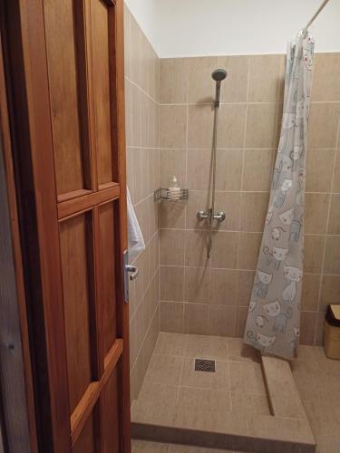 a bathroom with a shower with a shower curtain at Ebner Pince - Panzió in Turbékpuszta