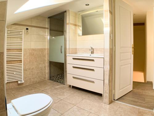 une salle de bain avec toilettes, douche et lavabo dans l'établissement Maison avec garage - à 5 min du centre-ville, à Strasbourg