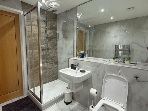 Un baño con inodoro, lavabo y ducha. en Modern Living Near Town Center, en Bracknell