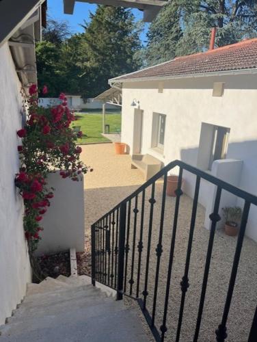 un escalier menant à une maison avec un pot de fleurs dans l'établissement Studio meublé, à Chasselay