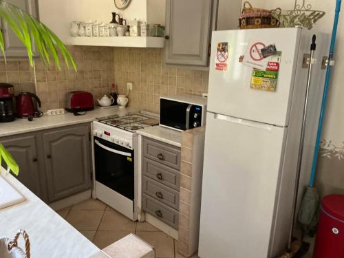 Il comprend une cuisine équipée d'un réfrigérateur blanc et d'une cuisinière. dans l'établissement Les Tournesols, à Saint-Andiol