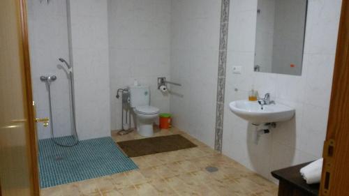 y baño con ducha, lavabo y aseo. en Hostal Virgen Del Pilar, en Baza