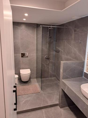 a bathroom with a shower and a toilet at Effies Aparments in Karlovasi