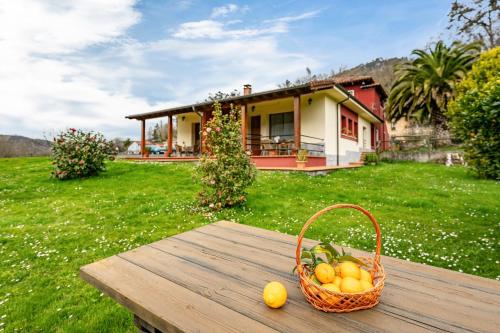 Apartamentos Les Cuartes